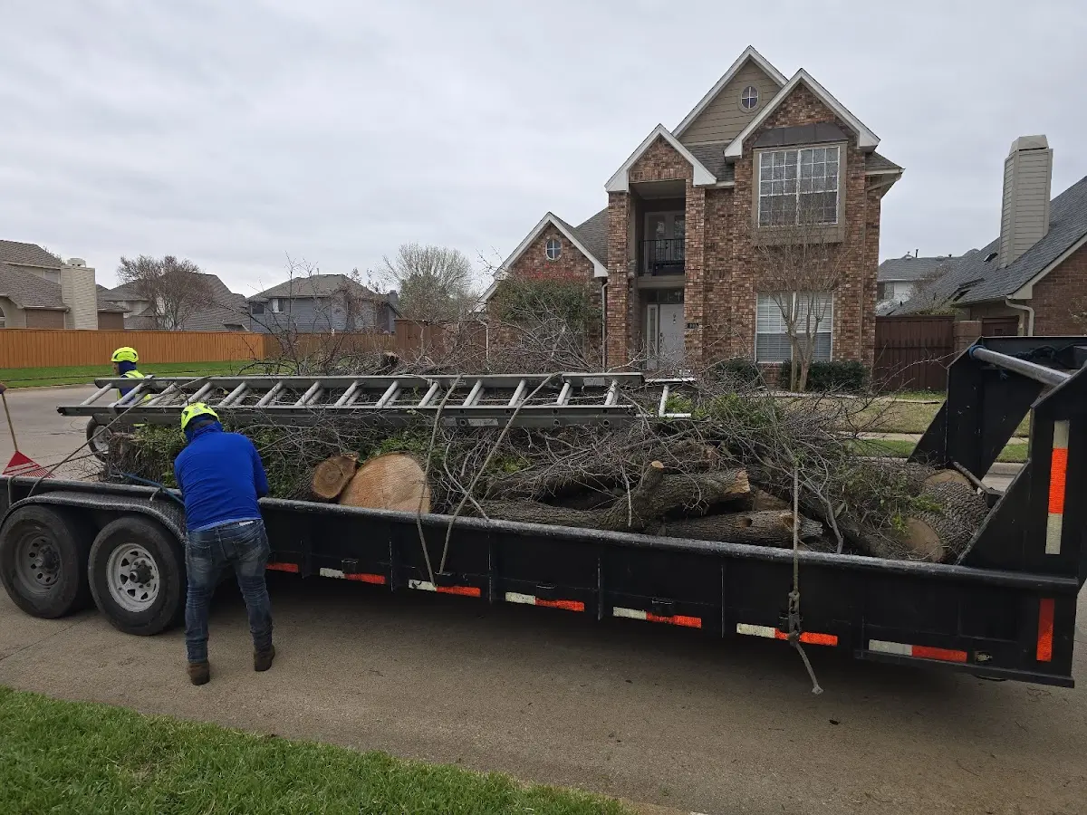 Expert Lot Clearing with proper safety equipment in Porter
